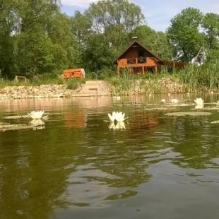 Усадьба Токари