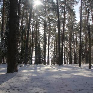 Одноэтажный коттедж на базе отдыха «Чигиринка»