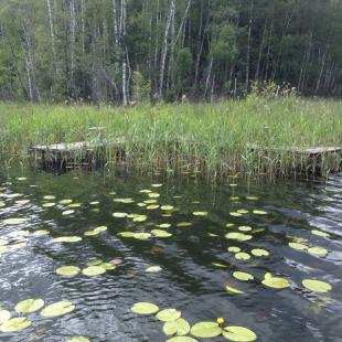 Усадьба «Медвежий угол» в Витебской области. Где можно порыбачить зимой
