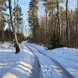 Зима в Hygge Lakes & Forest Club