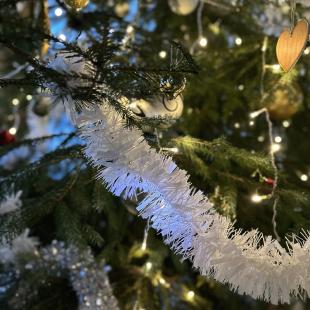 Новый год в усадьбе «Красное» в 125 км от Минска