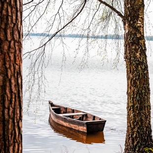 Одноэтажный коттедж на базе отдыха «Чигиринка»
