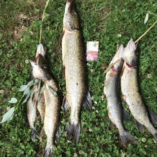 Отдых в усадьбе "Берлогв Hall"