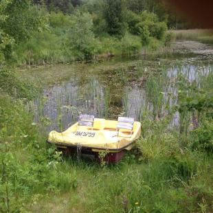 Усадьба «Медвежий угол» в Витебской области. Где можно поохотиться