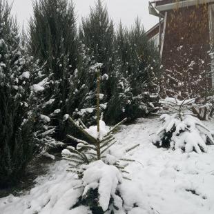 Новогодние праздники в усадьбе "Стары млын"