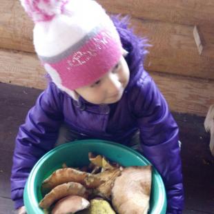 Отдых в усадьбе «Медвежий угол» в Глубокском районе