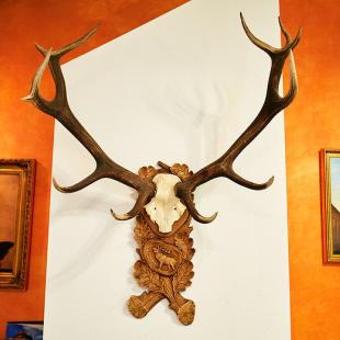 Интерьер усадьбы с баней "VIP Дубрава"