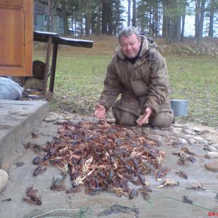 Рыбалка в усадьбе «Заповедный остров». Лучшие рыбные места Беларуси