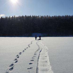 Новый год в усадьбе 