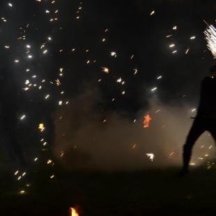 Лето в усальбе "Медвежий угол"