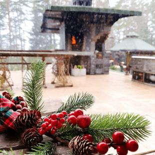 Новый год в усадьбе 