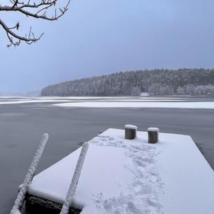 Новый год в усадьбе 