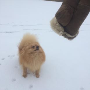Отдых в усадьбе «Медвежий угол» в Глубокском районе