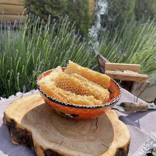 Усадьба Дольче Вита в Витебской области