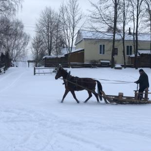 База отдыха Березовый двор