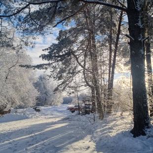 Зимний отдых в усадьбе «Заповедный остров» у озера в Витебской области