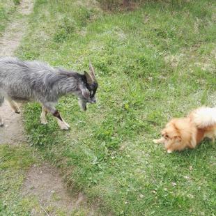 Туристический этнокультурный маршрут "Велесов путь"