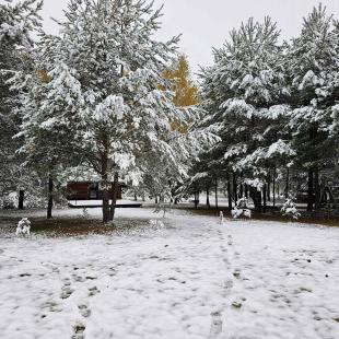 Зима в Hygge Lakes & Forest Club