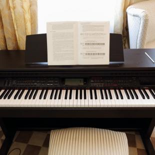 Пианола в загородном комплексе «Красное» в Могилевской области