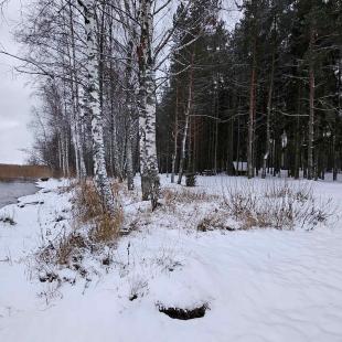 Зима в Hygge Lakes & Forest Club