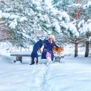 Наши любимцы (контактный зоопарк)