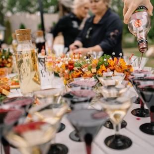 Проведение свадьбы и праздничных мероприятий в базе отдыха «Березовый двор» в Минской области