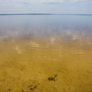 Чистое озеро Дривяты - второе по величине в Беларуси. Отдых на Браславских озерах