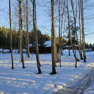 Зима в Hygge Lakes & Forest Club