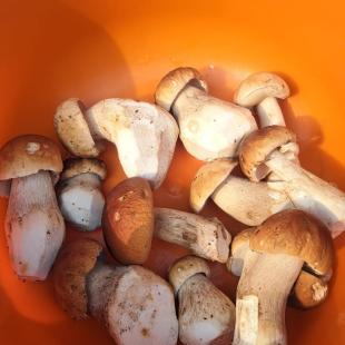 Усадьба ТакиДа