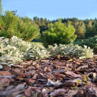 Загородный комплекс Lake View Villa