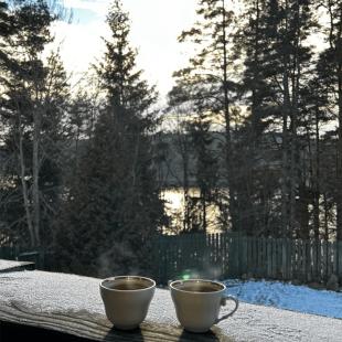 Новый год в усадьбе 