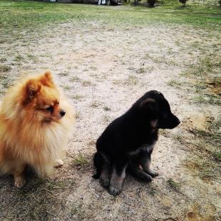 Отдых в усадьбе «Медвежий угол» в Глубокском районе