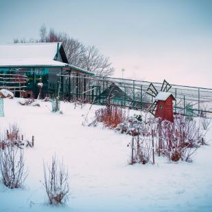 Зима в агроусадьба "Домик в Боярах"
