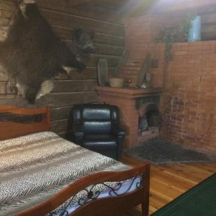 Усадьба «Медвежий угол» в Витебской области. Загородный отдых в Белоруссии