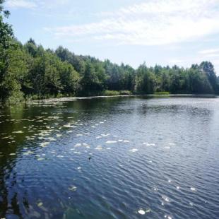 Усадьба «Заповедный остров», дом №5