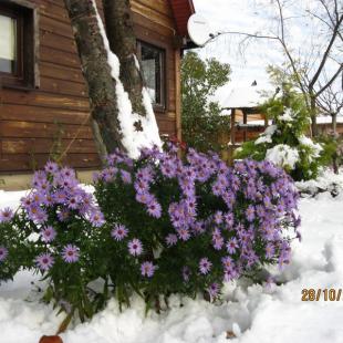 Арендовать усадьбу «Ля Свяцка» на зимние праздники под Гродно