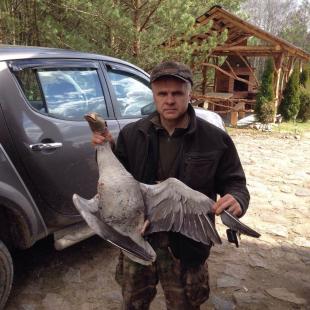 Отдых в усадьбе «Медвежий угол» в Глубокском районе