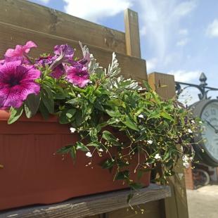 Усадьба Sunny House в Гродненской области