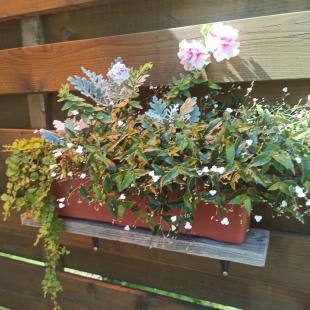 Усадьба Sunny House в Гродненской области