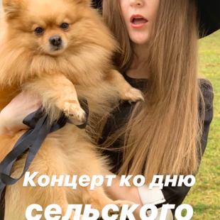 Наши любимцы (контактный зоопарк)