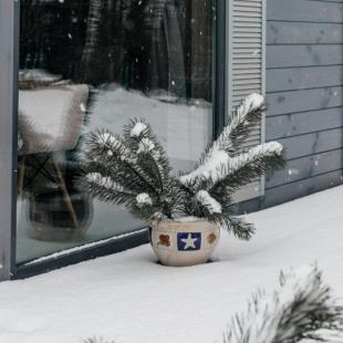 Зимний ПРОВАНС