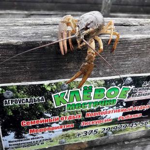 Агроусадьба "Клевое местечко"