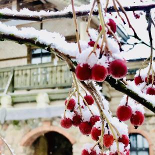 Общинный дом