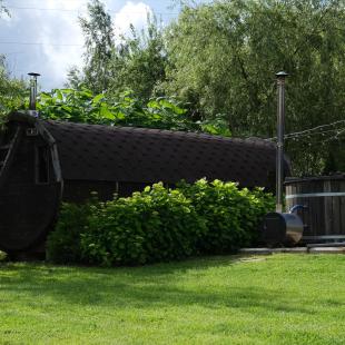 Усадьба Дольче Вита в Витебской области