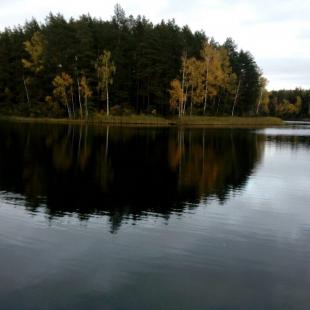 Отдых в усадьбе «Медвежий угол» в Глубокском районе