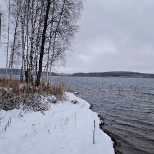 Центр оздоровления и отдыха Hygge Lakes & Forest Club на Браславских