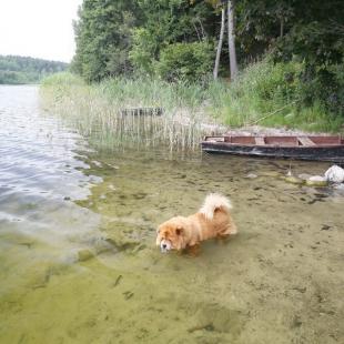 Озеро «Балдук» возле усадьбы «Ля Блакiтных азёр». Порыбачить на озере в Беларуси