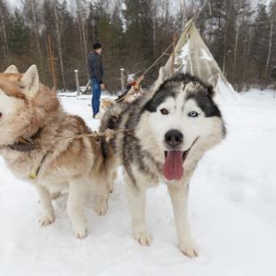 Туристический этнокультурный маршрут "Велесов путь"
