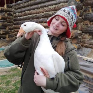 Наши любимцы (контактный зоопарк)