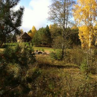 Усадьба «Медвежий угол» в Витебской области. Где порыбачить